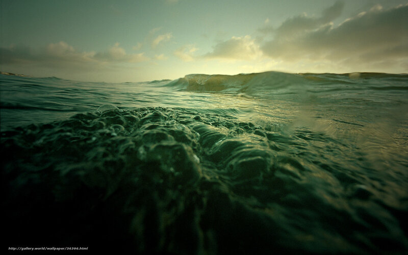 Ocean Wave at Sunset — Green, Dramatic, Photograph