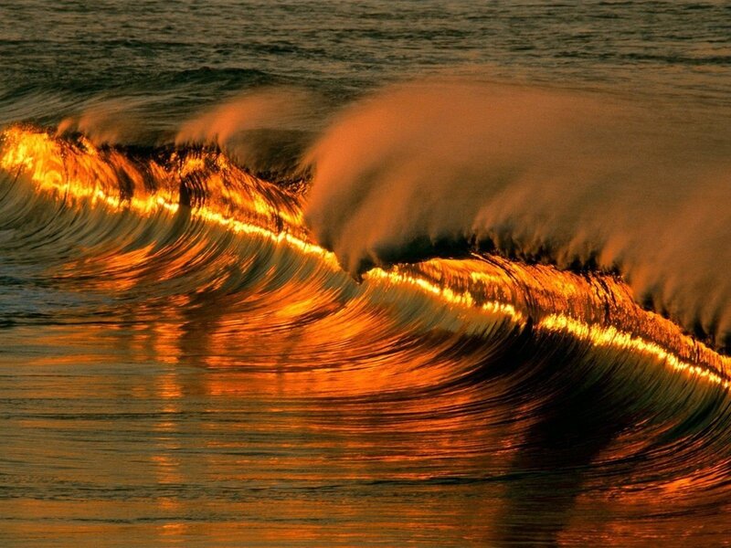 Ocean Wave at Sunset — Orange, Dramatic, Photograph, Sea, Sunlight