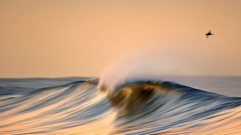 Ocean Wave at Sunset — Orange, Serene, Photograph, Bird