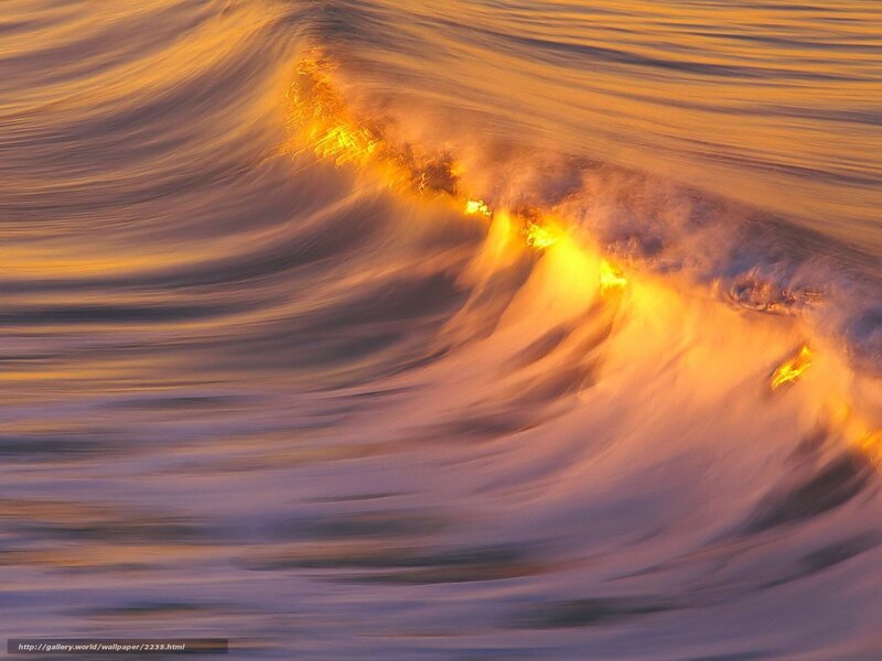 Ocean wave at sunset