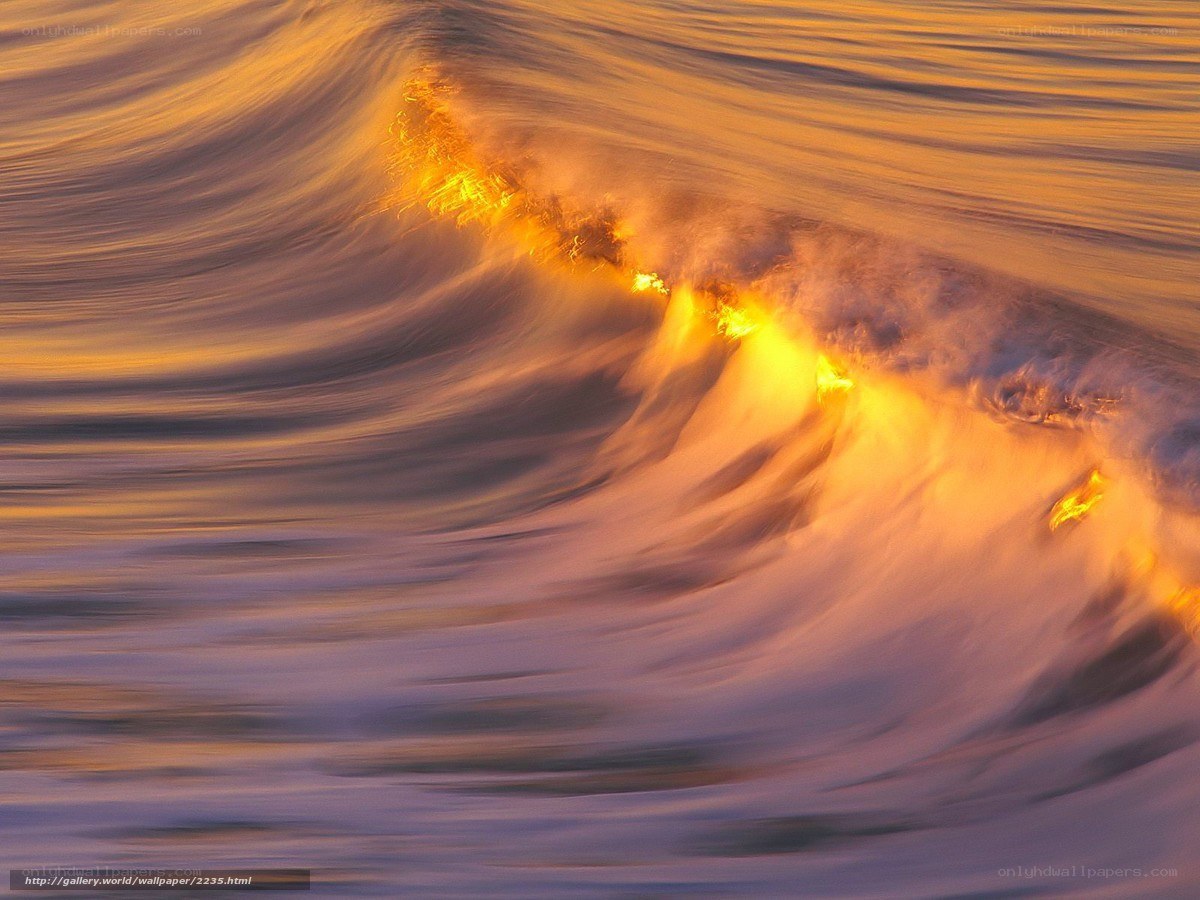 Ocean wave at sunset