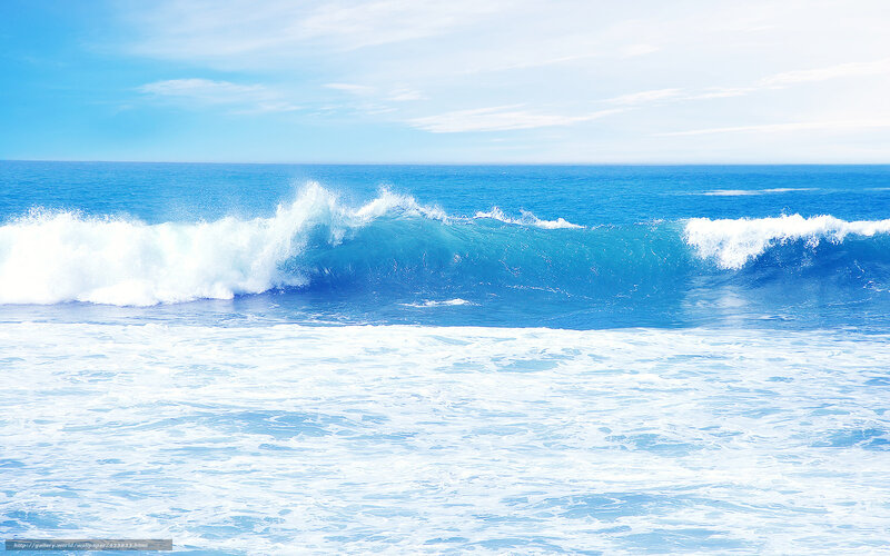 Ocean Wave Breaking — Blue, Calm, Afternoon