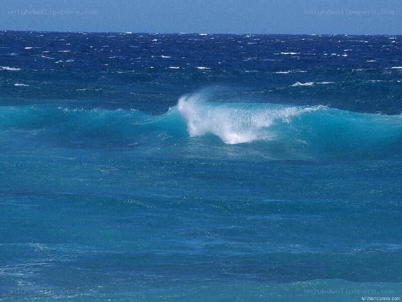 Ocean wave breaking on shore