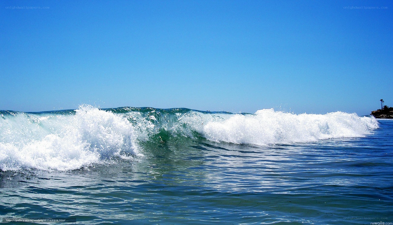Ocean wave breaking on shore