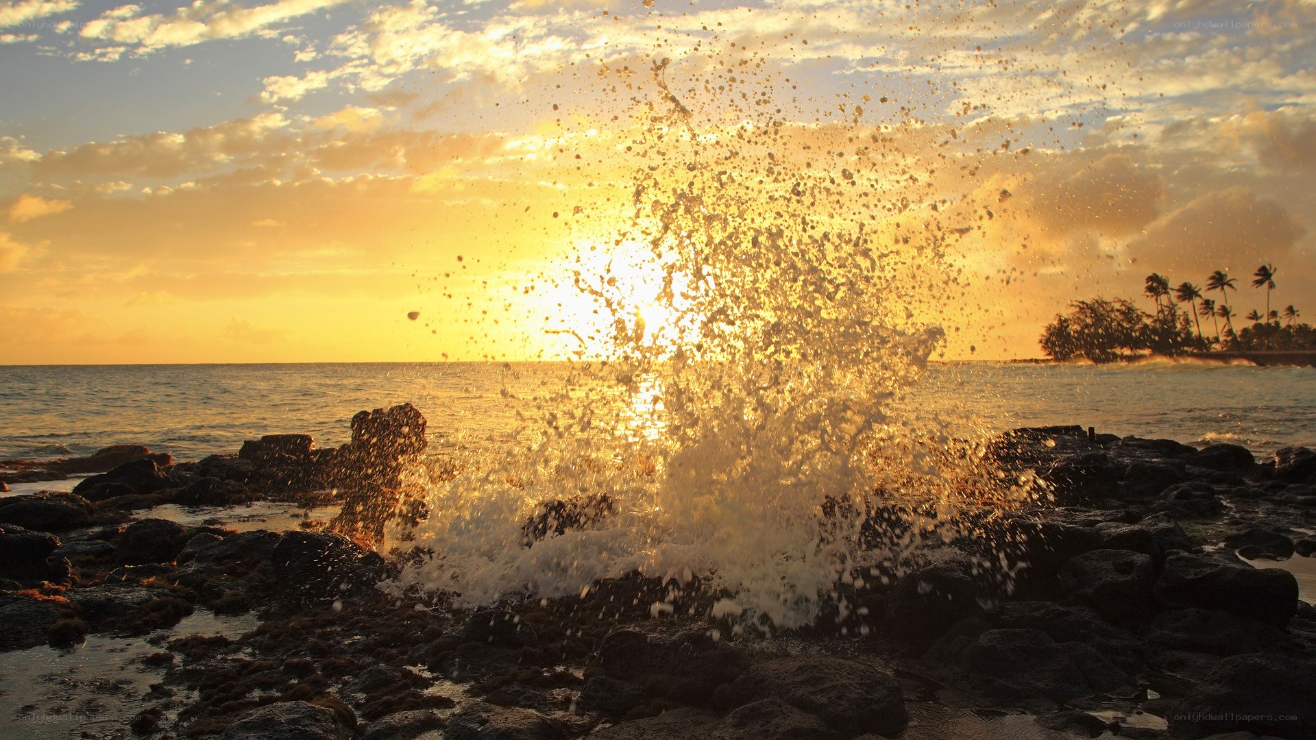 Ocean wave crashing at sunset