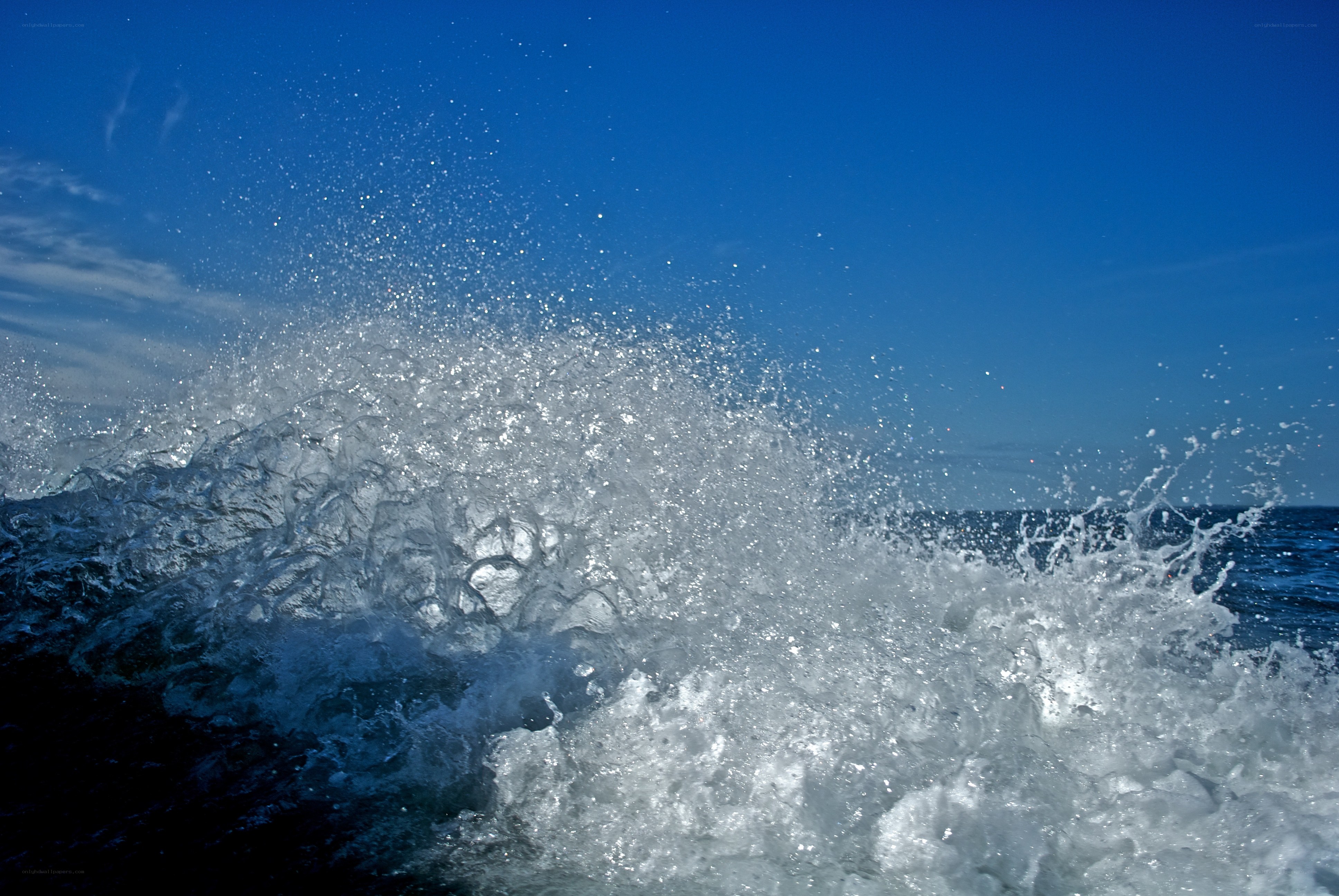 Ocean wave crashing in sunlight