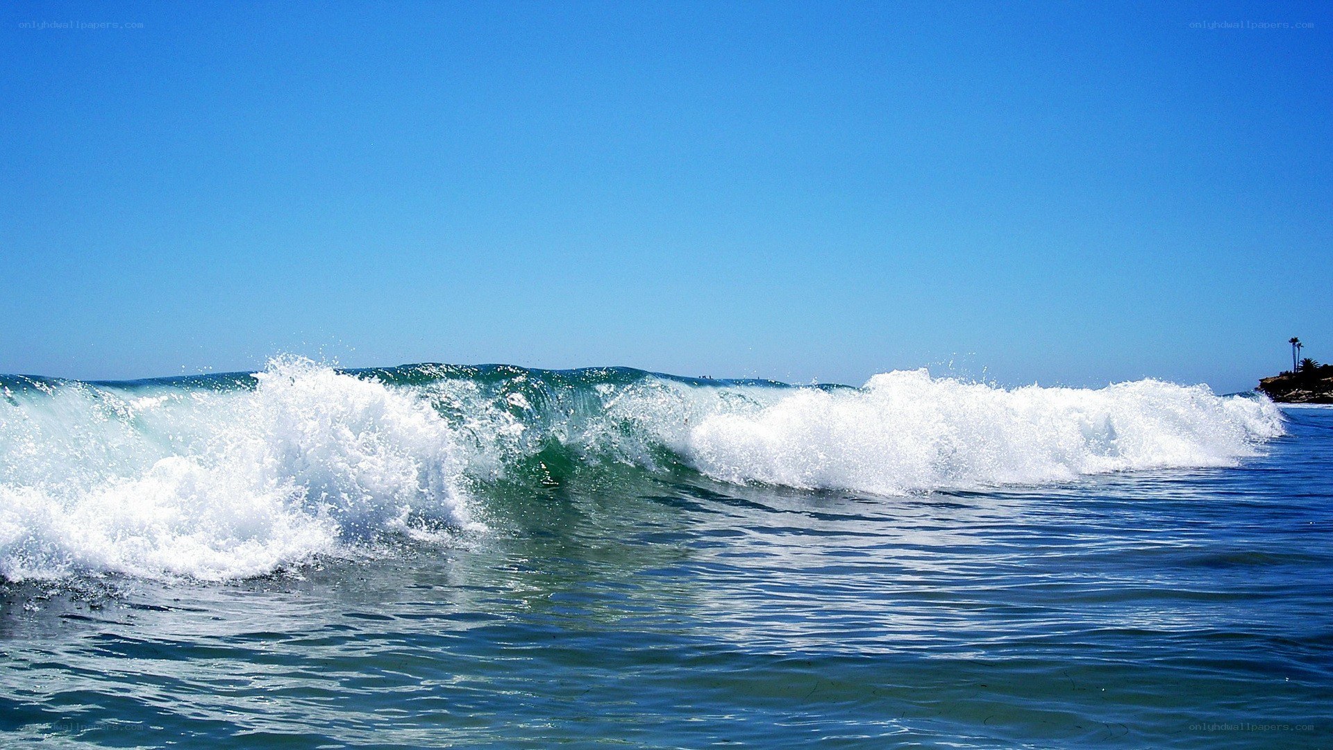 Ocean wave crashing on shore