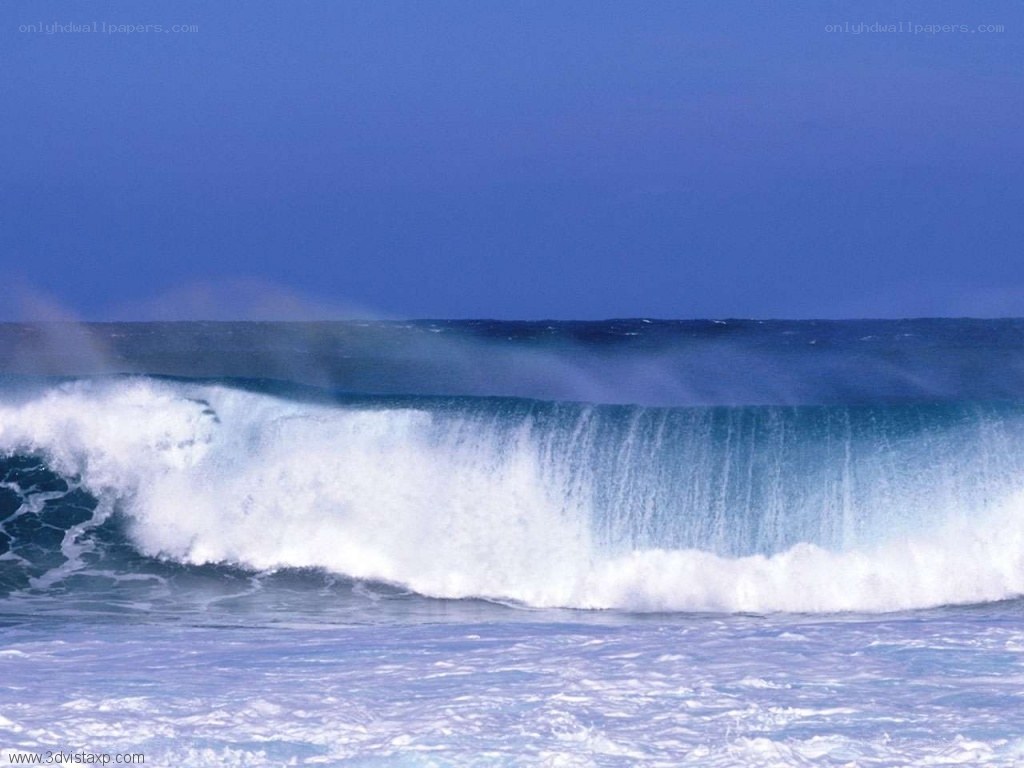 Ocean wave crashing on shore