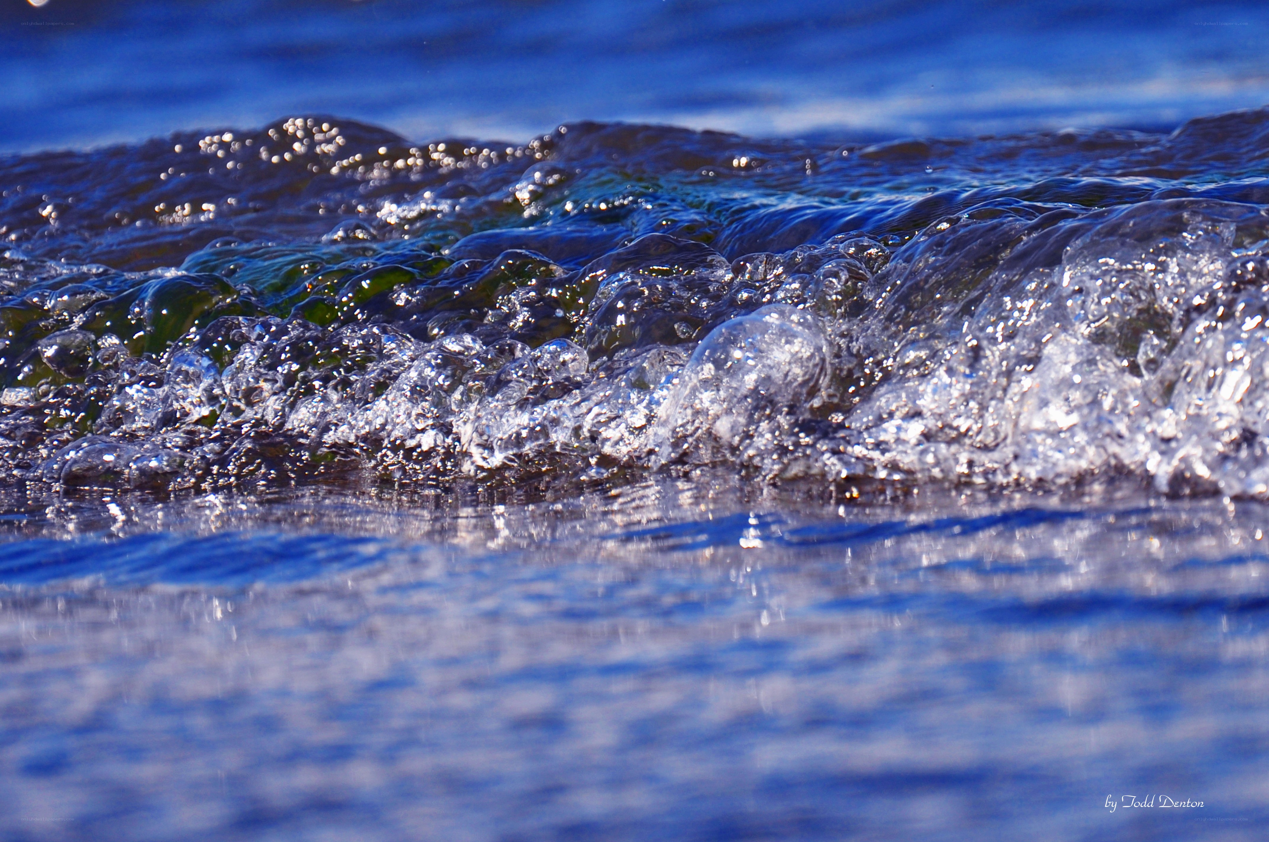 Ocean wave crashing on shore