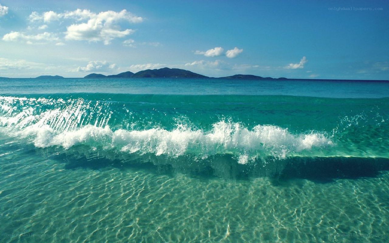 Ocean wave crashing on shore