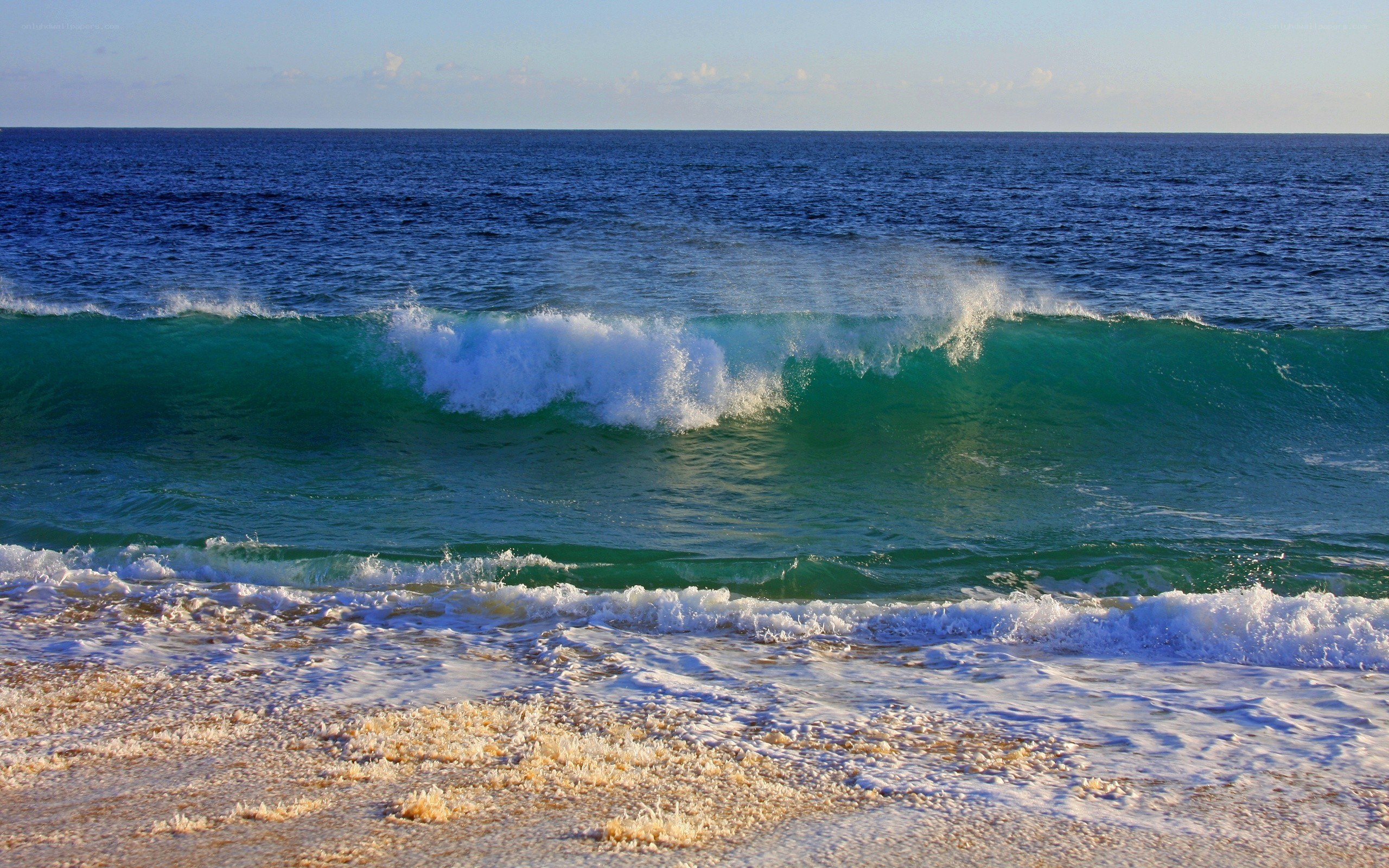 Ocean wave crashing on shore