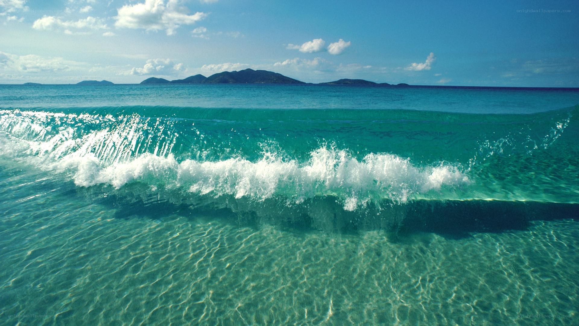 Ocean wave crashing on shore