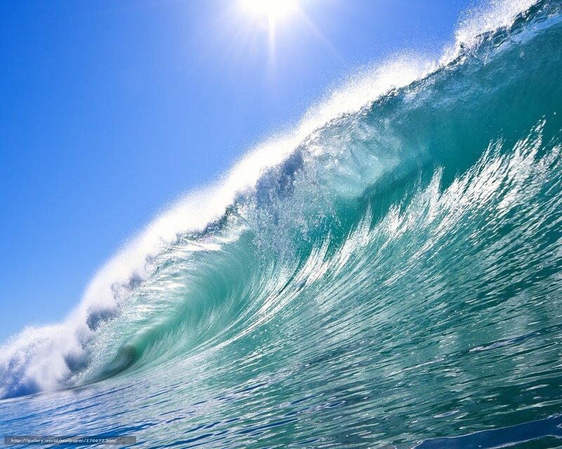 Ocean Wave Curling — Blue, Dramatic, Afternoon, Photograph, Sun, Sky, Sea Foam