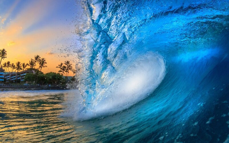 Ocean Wave Curling — Blue, Dramatic, Sunset, Photograph, Palm Trees