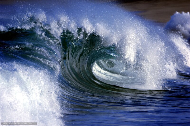 Ocean Wave Curling — Blue, Dynamic, Afternoon, Photograph, Sea