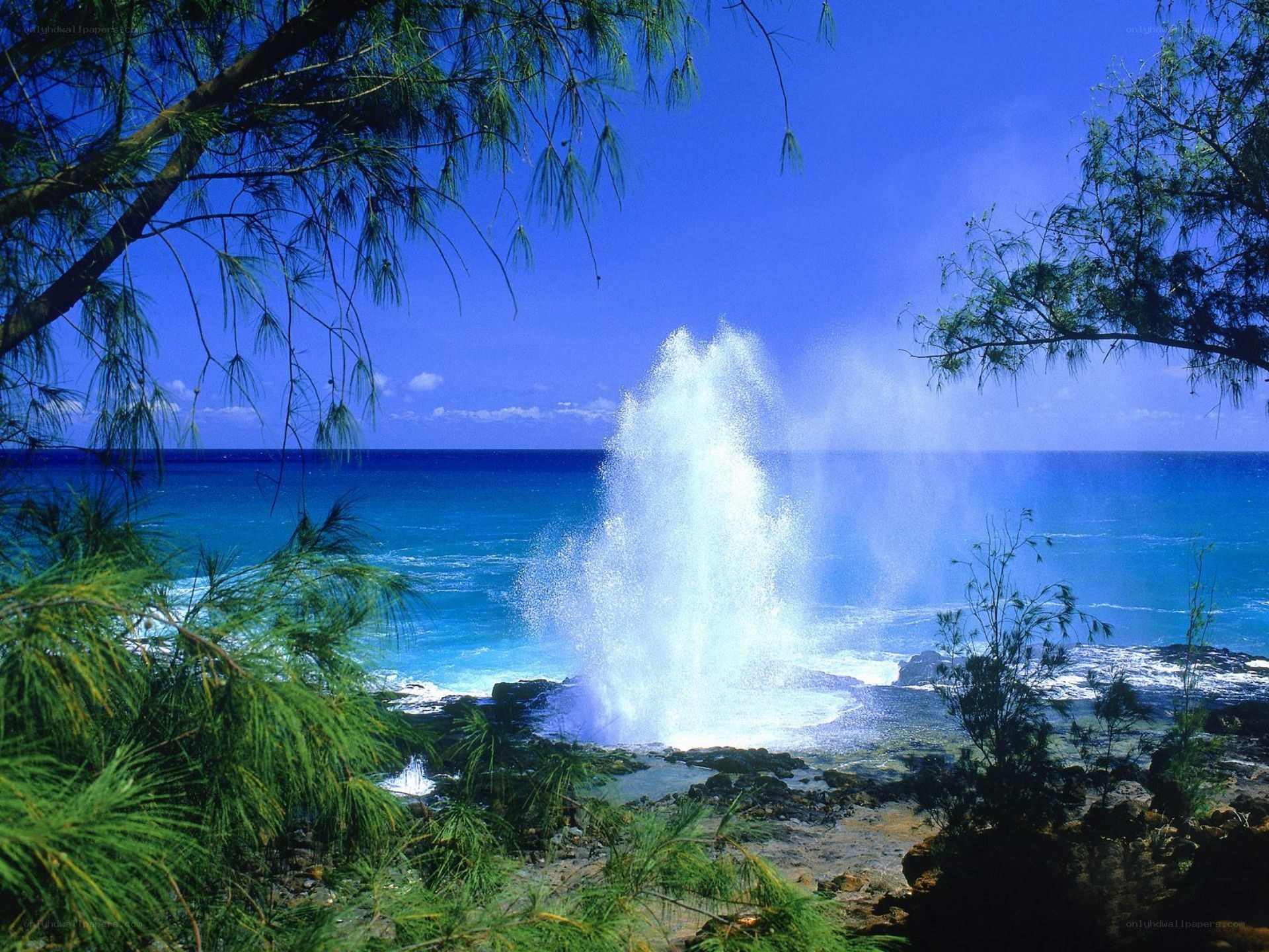 Ocean wave erupting from a blowhole