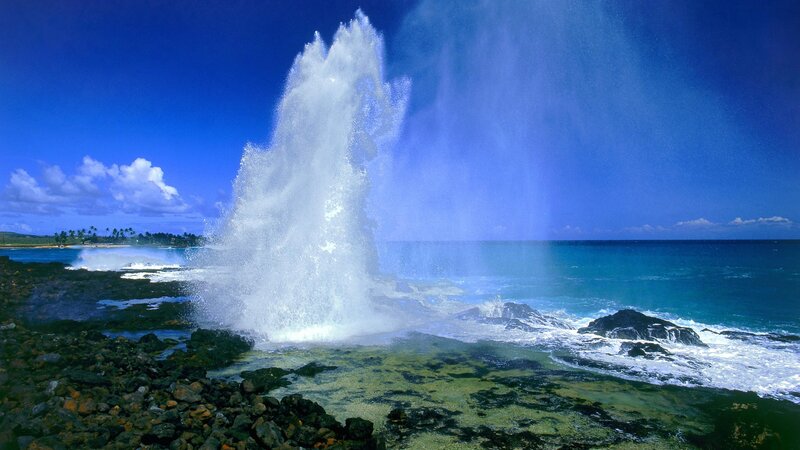 Ocean wave erupting from a blowhole