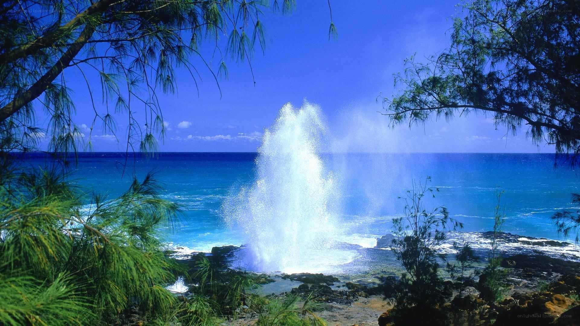Ocean wave erupting from blowhole