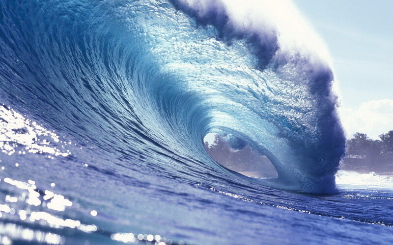 Ocean Wave Forming Barrel — Blue, Dramatic, Afternoon, Photograph, Sea, Sky, Trees