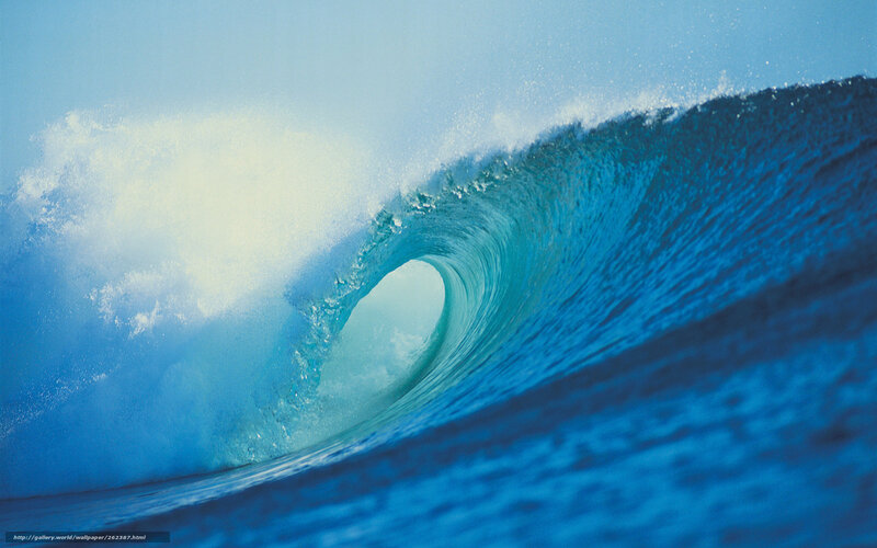 Ocean Wave Forming Barrel — Blue, Dynamic