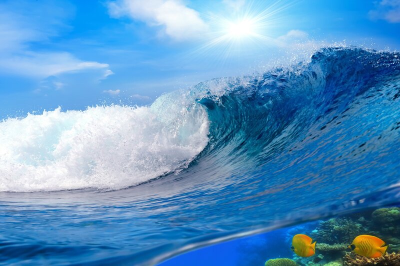 Ocean Wave with Fish — Blue