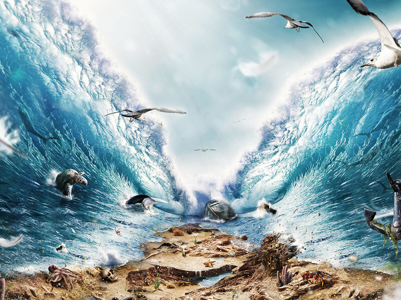 Ocean Wave with Sea Life