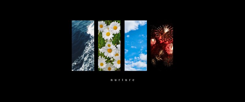 Ocean Waves and Daisies