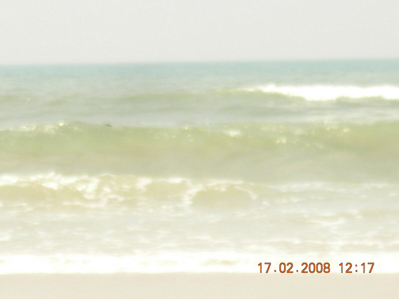 Ocean Waves at Beach — Green