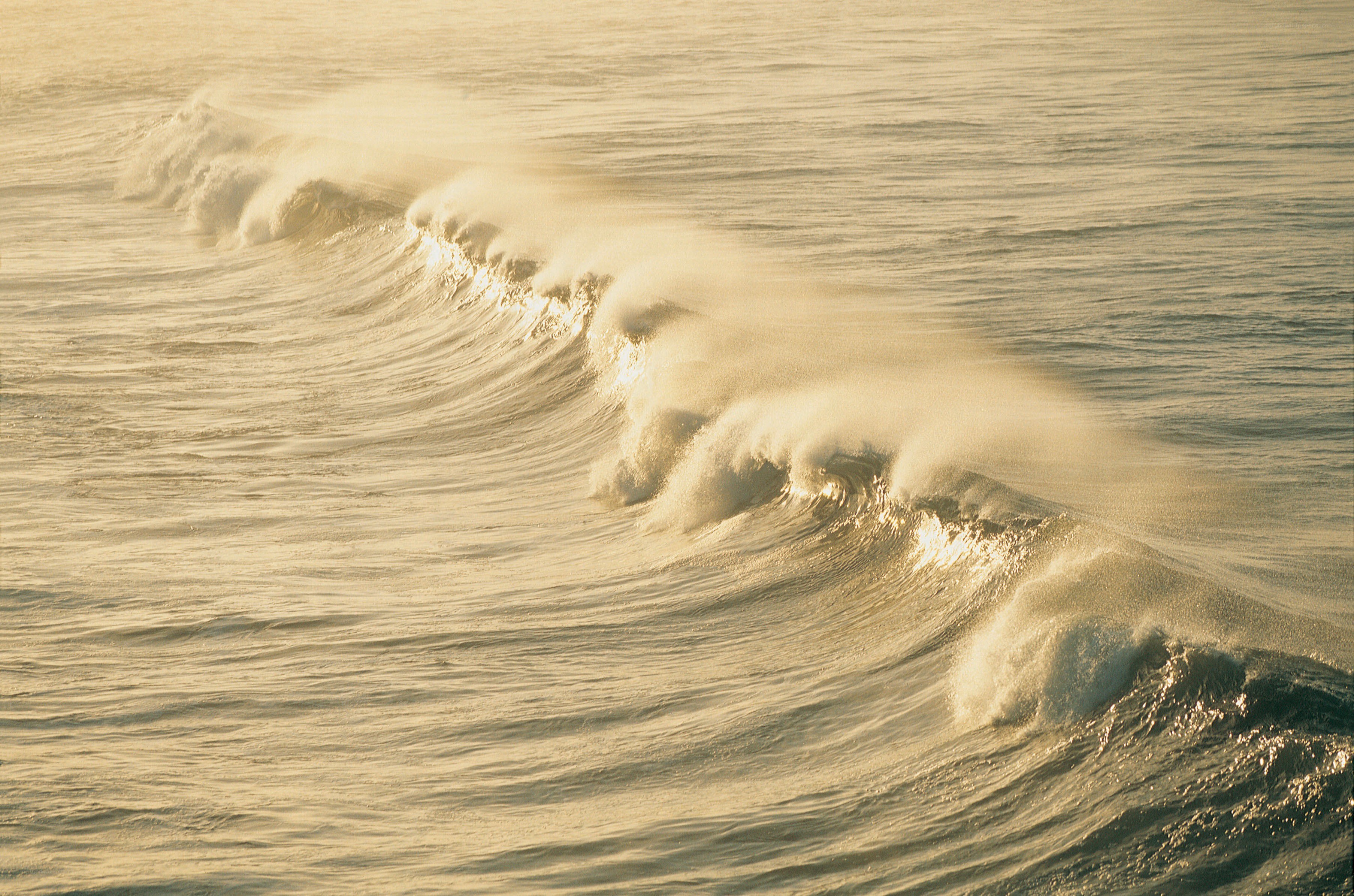 Ocean waves at golden hour