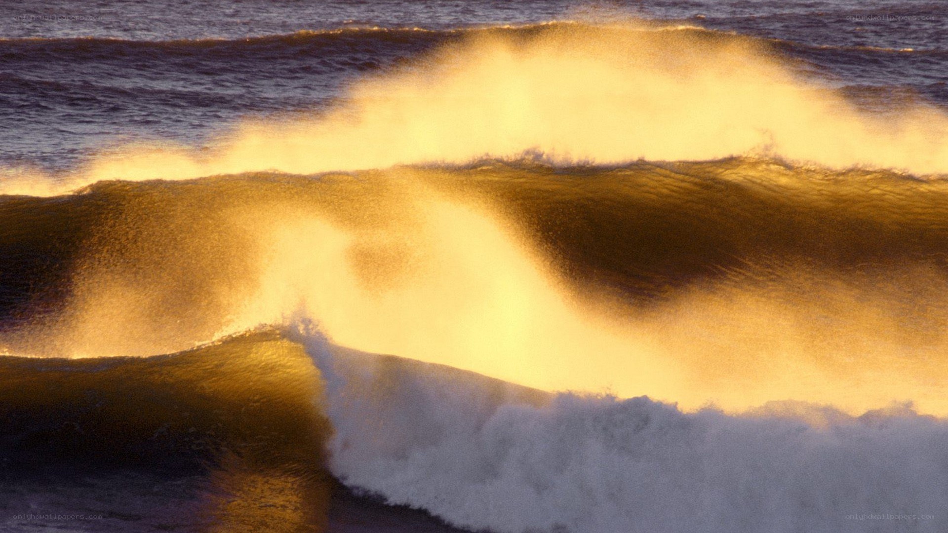 Ocean waves at golden hour