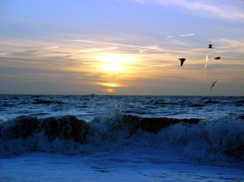 Ocean Waves at Sunset — Blue, Serene, Photograph, Birds