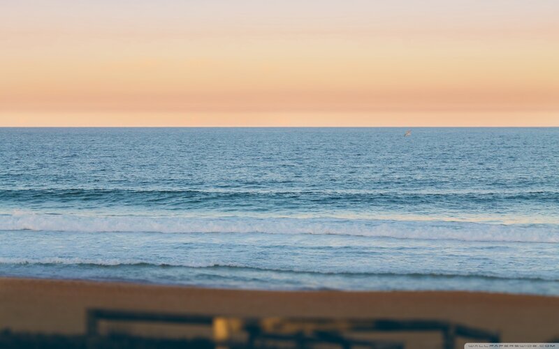 Ocean Waves at Sunset — Blue, Serene, Photograph, Sky, Bird