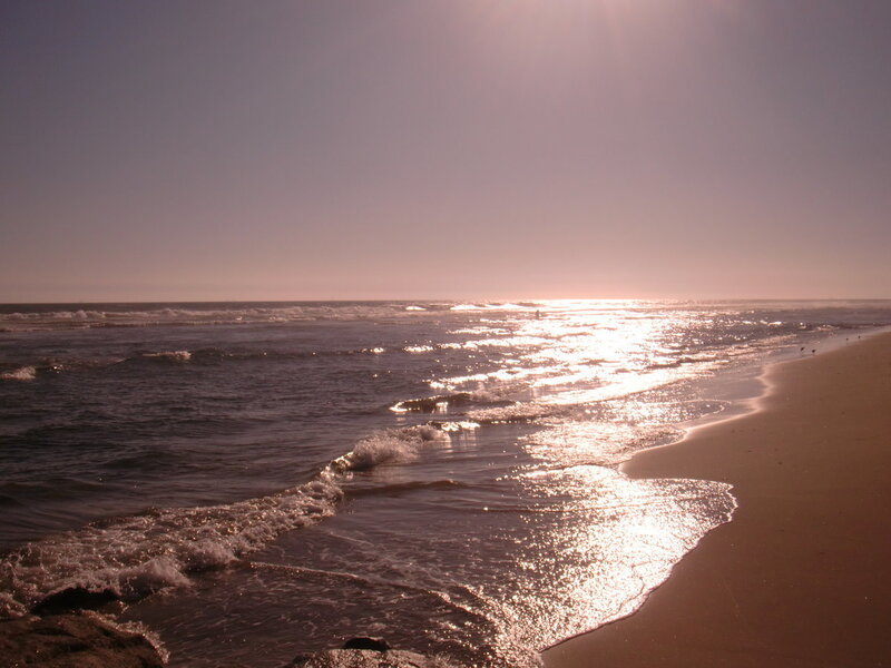 Ocean Waves at Sunset — Brown