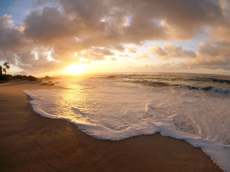 Ocean Waves at Sunset — Gold, Serene, Photograph, Sand, Clouds, Palm Trees, Blue, Brown