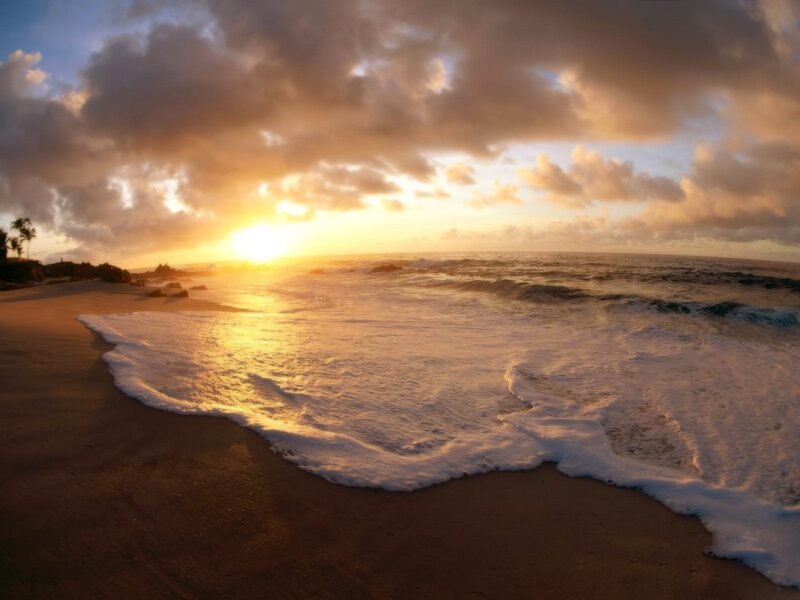 Ocean Waves at Sunset — Gold, Serene, Photograph, Sand, Clouds, Palm Trees, Blue