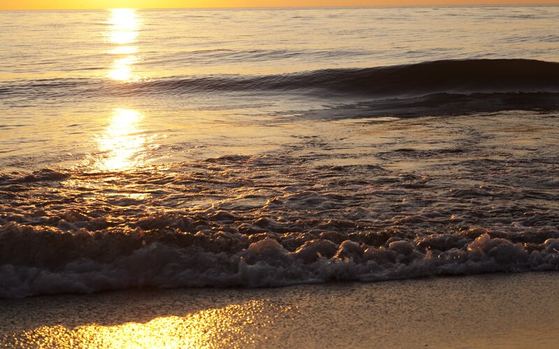 Ocean Waves at Sunset — Gold, Serene, Photograph, Sun, Sand, Foam, Brown