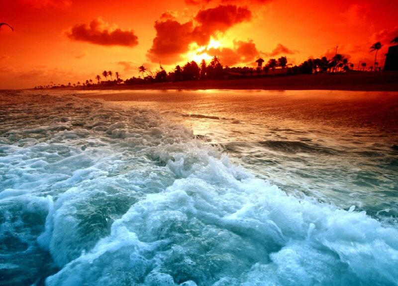 Ocean Waves at Sunset — Orange, Dramatic, Photograph, Beach, Palm Trees