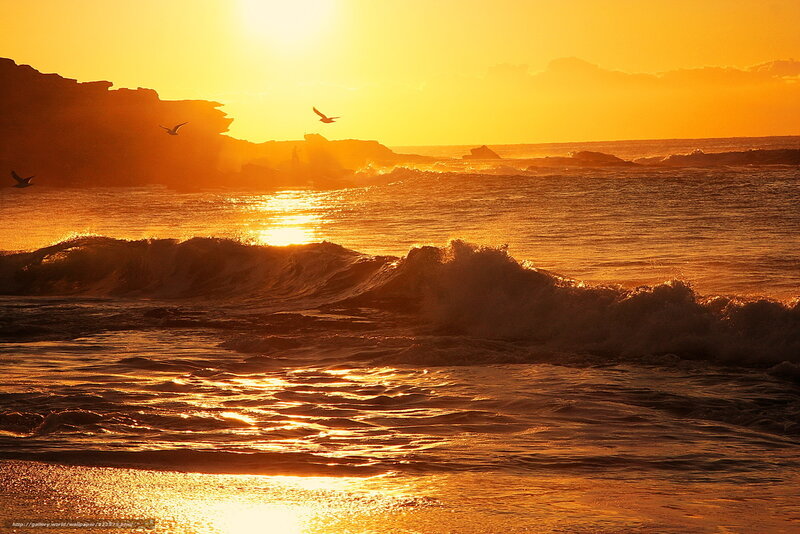 Ocean Waves at Sunset — Orange, Dramatic, Photograph, Birds