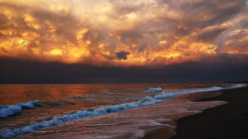 Ocean Waves at Sunset — Orange, Dramatic, Photograph, Clouds, Birds