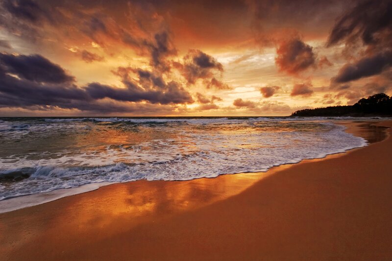 Ocean Waves at Sunset — Orange, Dramatic, Photograph, Clouds, Sand, Trees