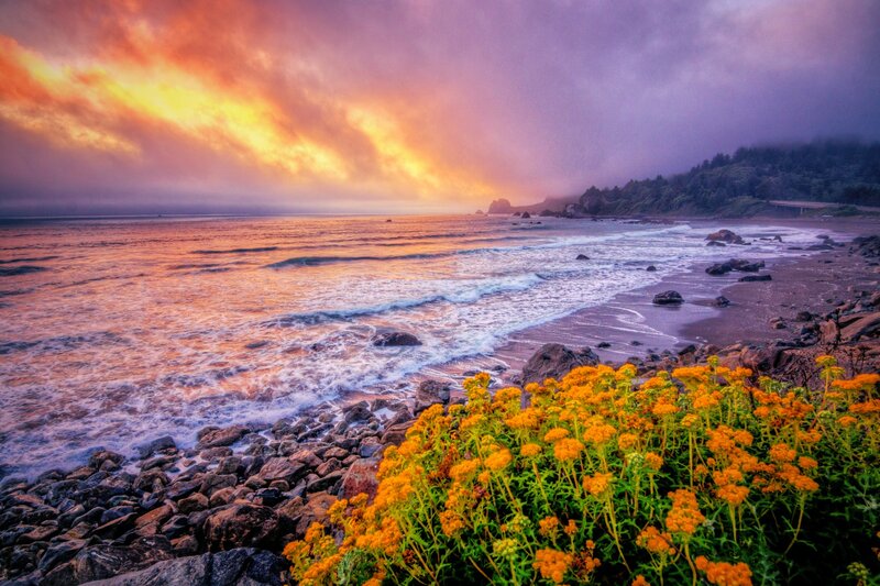 Ocean Waves at Sunset — Orange, Dramatic, Photograph, Flowers
