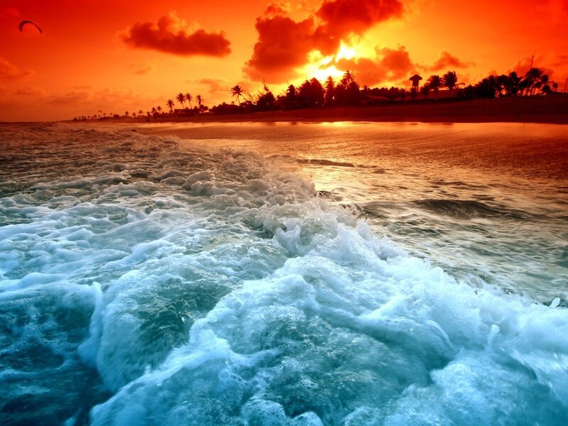 Ocean Waves at Sunset — Orange, Dramatic, Photograph, Palm Trees, Kite