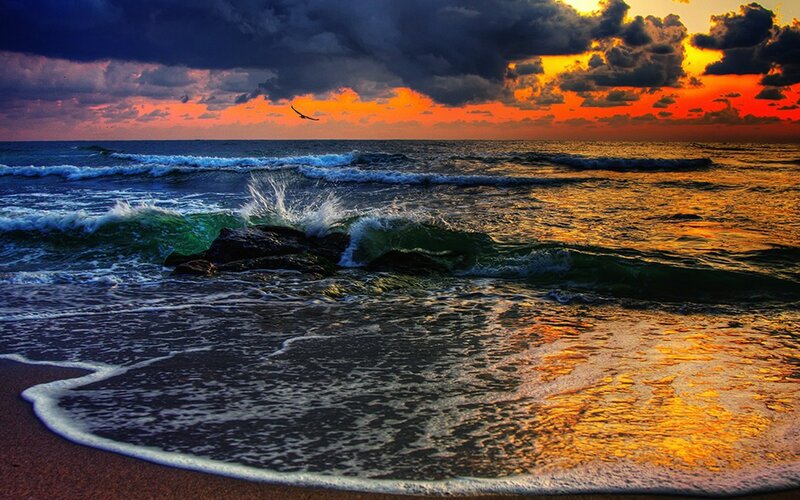 Ocean Waves at Sunset — Orange, Dramatic, Photograph, Seagull