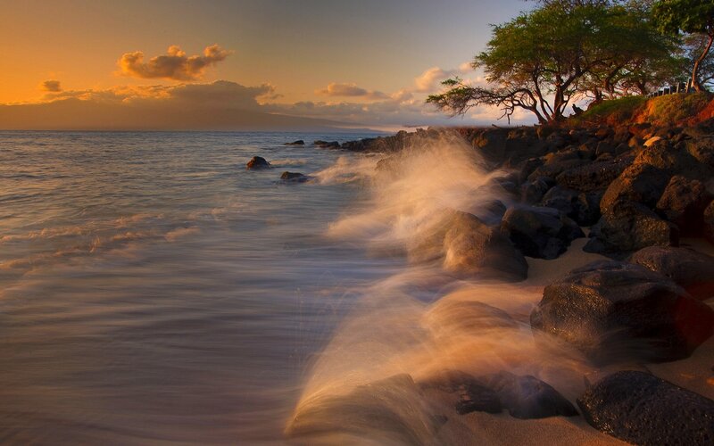 Ocean Waves at Sunset — Orange, Serene, Photograph, Rocks, Trees