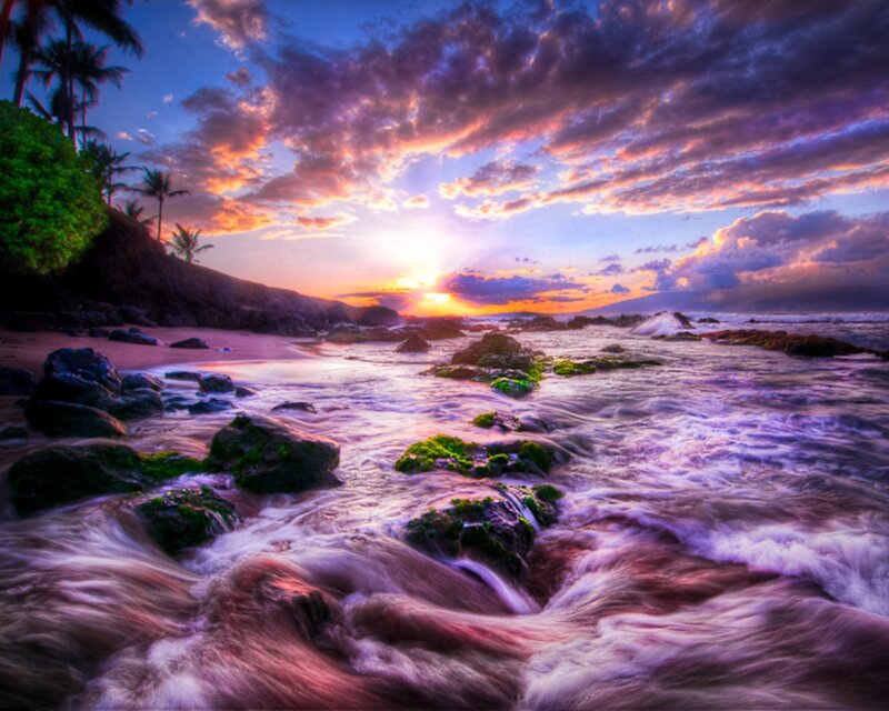 Ocean Waves at Sunset — Purple, Dramatic, Photograph, Palm Trees