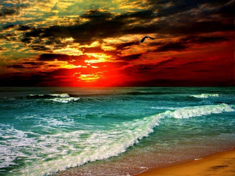 Ocean Waves at Sunset — Red, Dramatic, Photograph, Bird