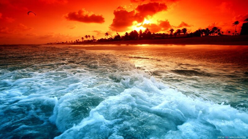 Ocean Waves at Sunset — Red, Dramatic, Photograph, Palm Trees, Kite, Beach