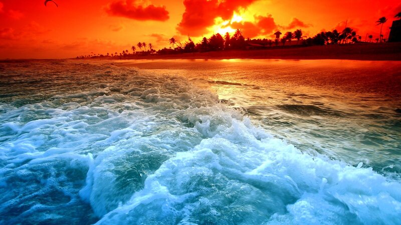 Ocean Waves at Sunset — Red, Dramatic, Photograph, Palm Trees