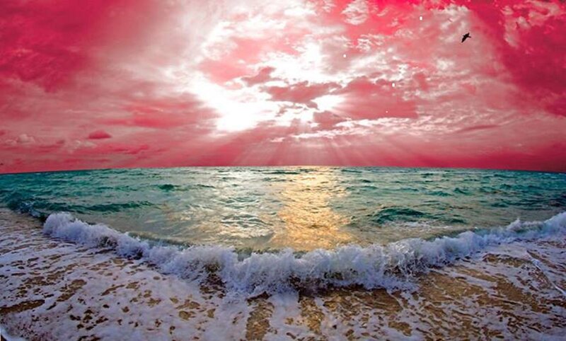 Ocean Waves at Sunset — Red, Dramatic, Photograph, Sky, Bird