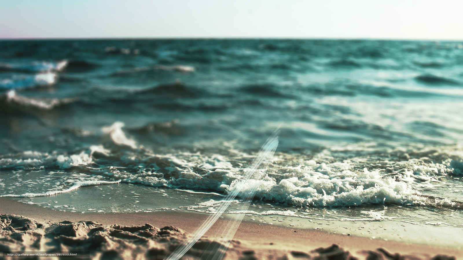 Ocean waves at the shore